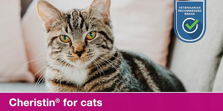 A tabby cat, veterinarian-recommended badge beside it